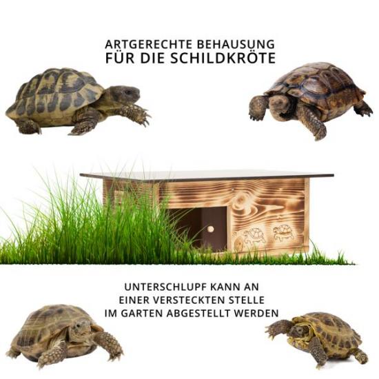 Preview: Woid Herz Premium Schildkrötenhaus (SH4) gebrannt